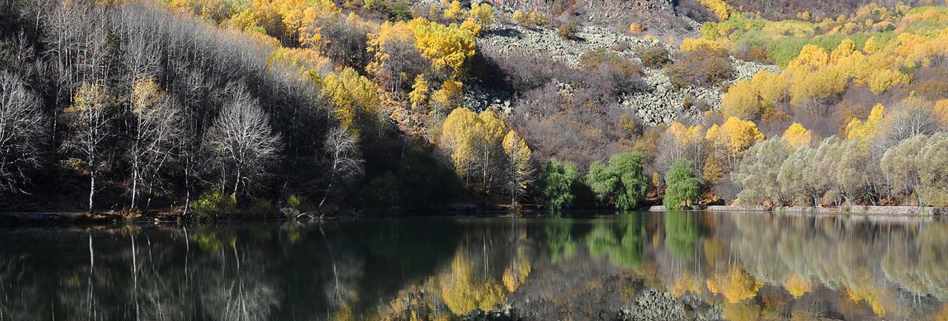 Karga Ormancilik İletişim